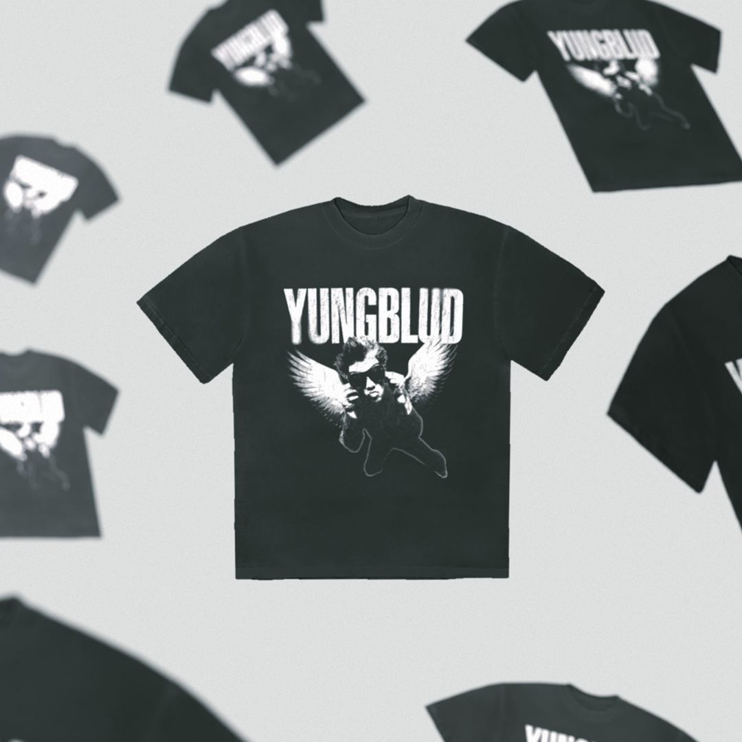 https://images.bravado.de/prod/product-assets/product-asset-data/yungblud/yungblud/products/508031/web/441970/image-thumb__441970__3000x3000_original/Yungblud_VINTAGE-WASH-WINGS_T-Shirt_s508031_o3726821_a441970_v11768509.745af733.png